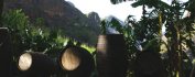VOYAGE CAP VERT -  Ribeiras Fundas