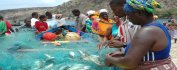 SENEGAL/CAP VERT - Terres authentiques