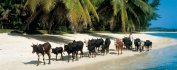 VOYAGE MADAGASCAR - Au Rythme Mora Mora